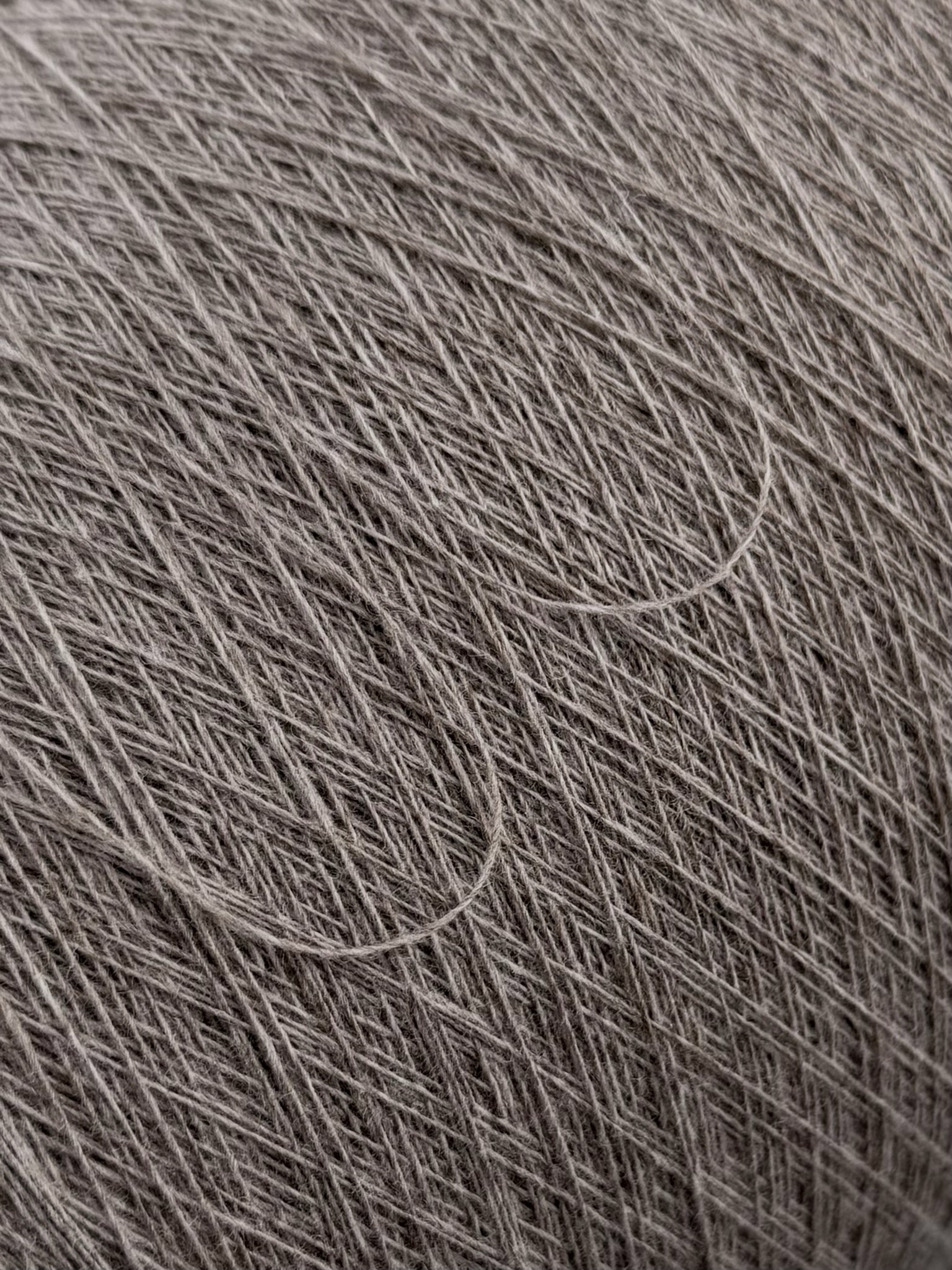 Papi Fabio Silte 1/15 – Filato Merino Supergeelong Talpa col. 1215